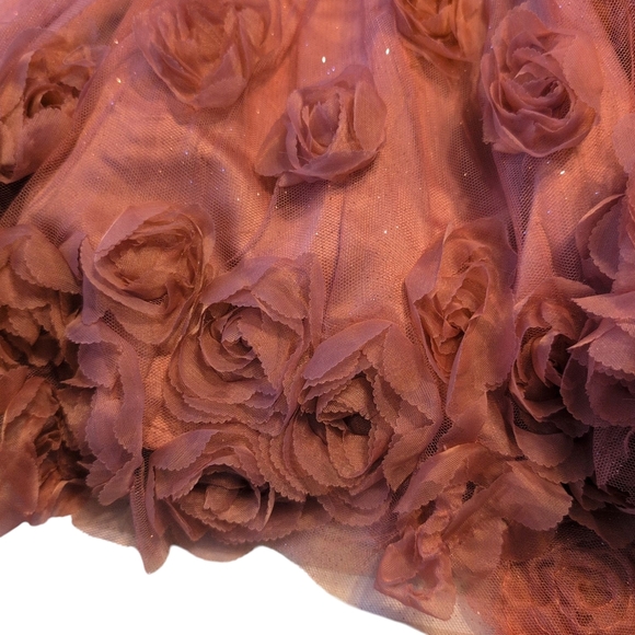 Elegant Rose Dress with Shimmery & Tulle Accents - Picture 2 of 4